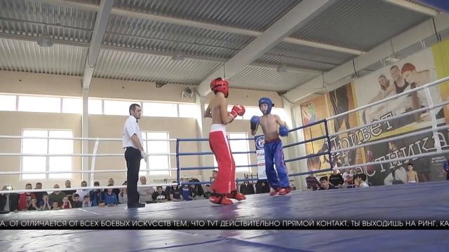 В Волгограде 500 кикбоксеров с ЮФО борются за выход на всероссийский уровень