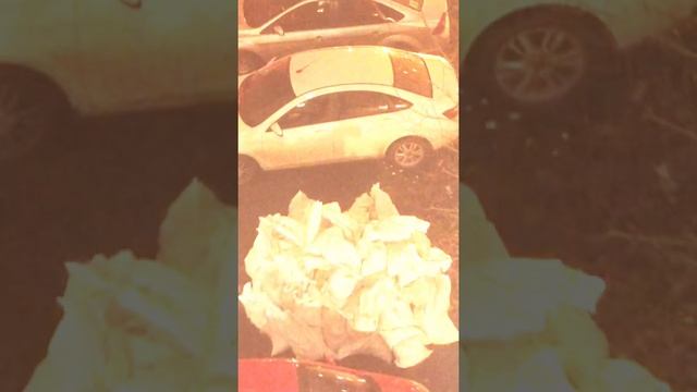 Окончание демонтажа в квартире. Квартира в сталинке. ремонт и отделка