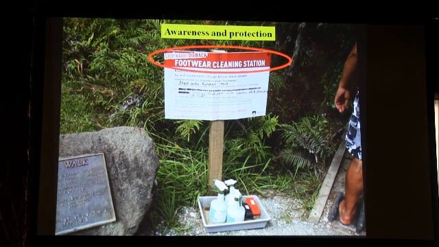 Kauri (Agathis Australis) Ethnobotany: Identity, Conservation And Connection In New Zealand