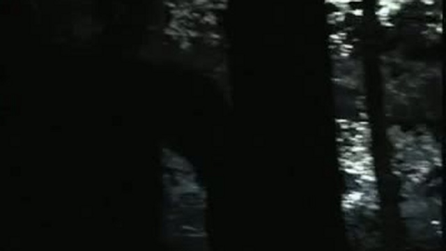 Nightwish - Othafa