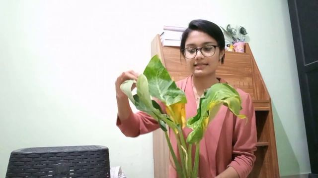 76873312488cf65d20838e007c7963bd