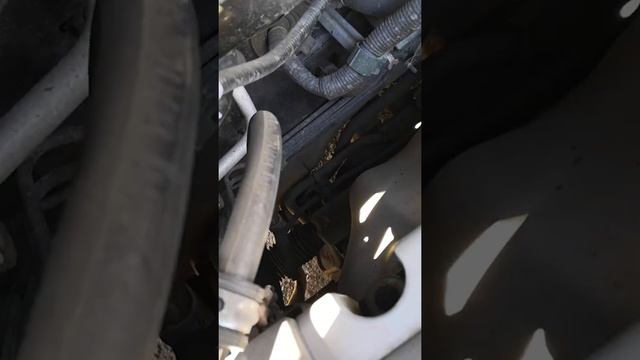 Интерьерный взгляд