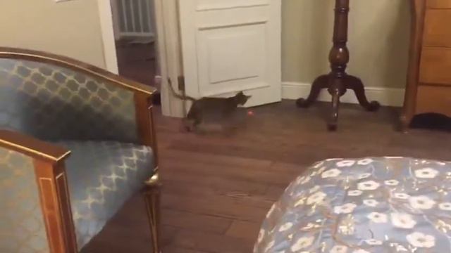 Super-Aby Orabella (Таисия )