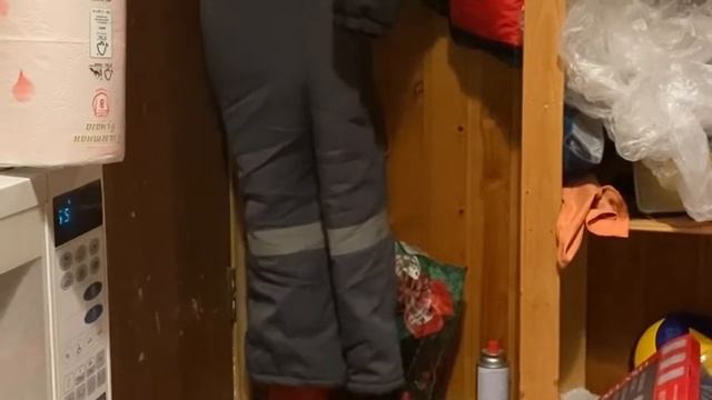 Кошка нашла портал в другое измерение
