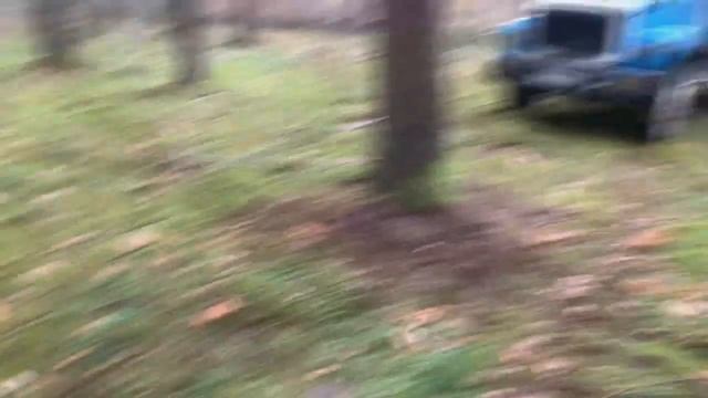 3307 - тихо пялим меж елЯми. )