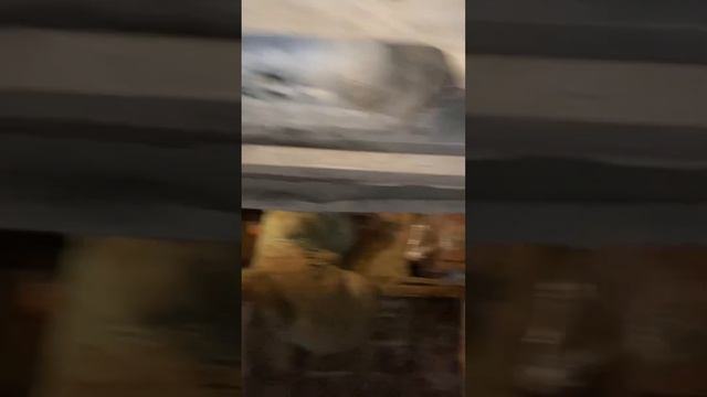 Мужчины за рулем: выбор настоящих мужчин