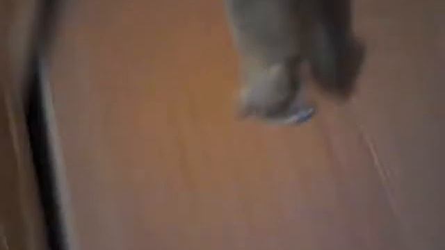 61bae328dc99da99e8651d49677ab724