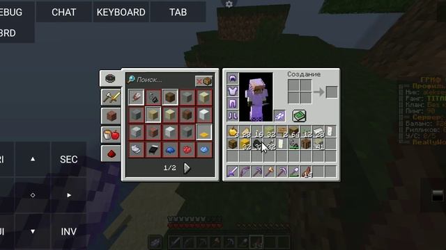 играю в маинкрафт как на пк на сервере домера