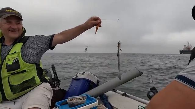 Морская рыбалка!  Владивосток 2023