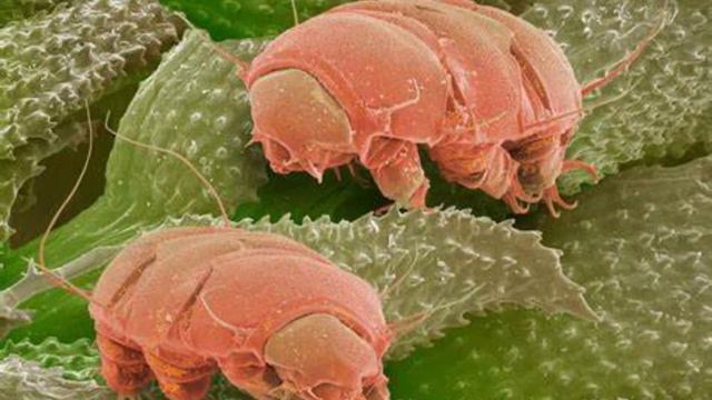 The Mystery Of Life Origin: Unravelling The Theories | BeyondBorders #life