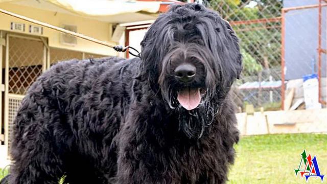 E6e2d280e20f1533b3d6b3917309c6a7