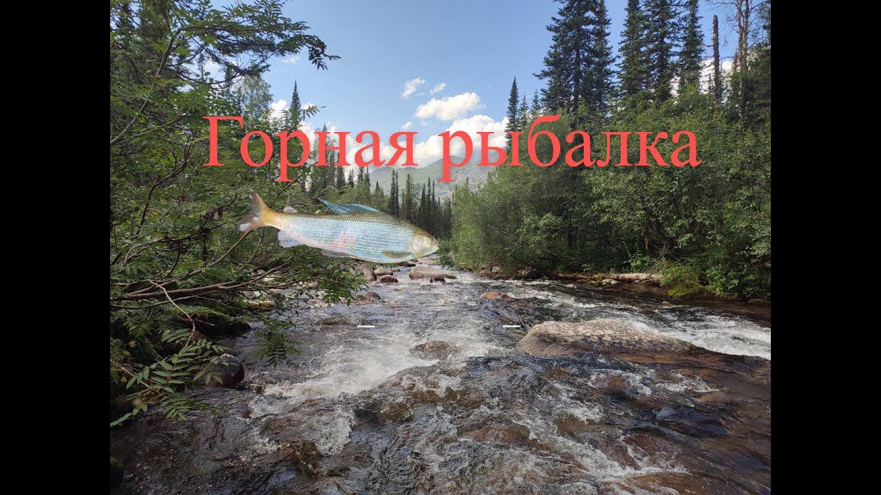 Трофеи горной реки Один день на настоящей горной рыбалке Ловля нахлыстом на нимфы