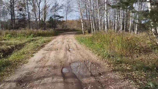 ОБЗОР ДЕРЕВНИ ГДЕ Я ЖИВУ/ НИЖЕГОРОДСКАЯ ОБЛАСТЬ/ ЖИЗНЬ В ДЕРЕВНЕ/ ЖИЗНЬ ХОРОША 14.10.23г.