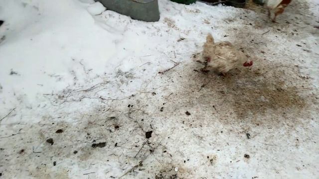 Как я меняю наперники на подушки/ влог.