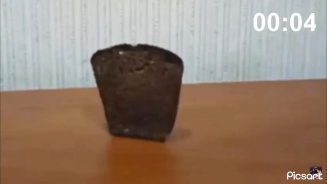 0021abf5e16beb54452eda09831592d3