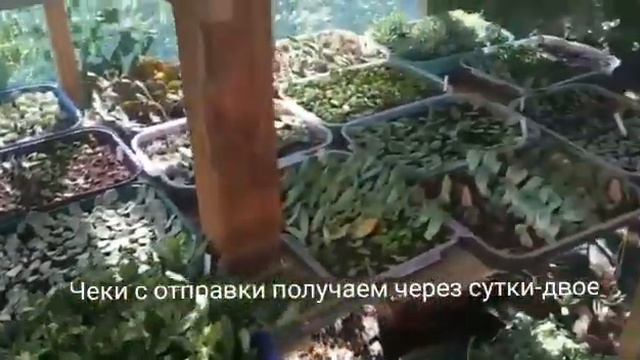 Оплата получена