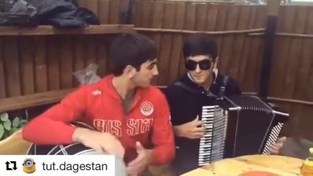 Кавказцы красиво поют