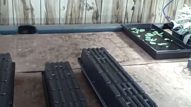 897abb3dab0149ac4237ead6fb51adcc