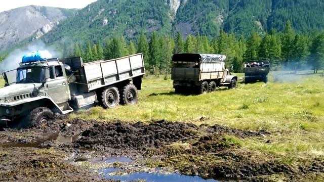 Бабка за дедку, дедка за репку! Тянут-потянут, вытянули... Урал )))))))