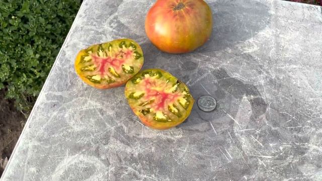 Томат Чёрный Ананас. Black Pineapple Ananas Noire