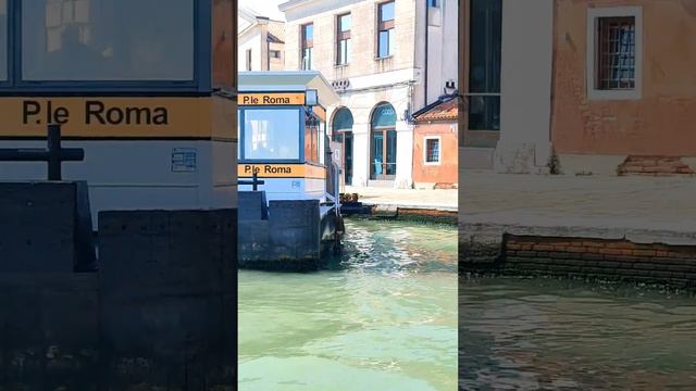 Лунный Скорпион