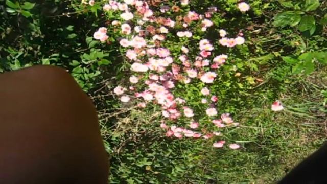 САМВЕЛА В ТЕАТРЕ НАРЯДИЛИ КАК НАДО. МУЖИКА В МАРШРУТКЕ НЕ БЫЛО