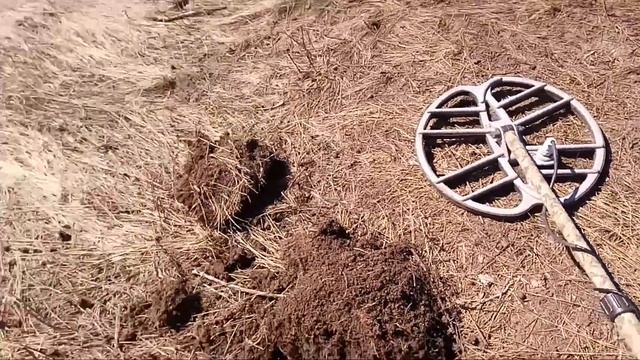 Не плохо копнул возле дома