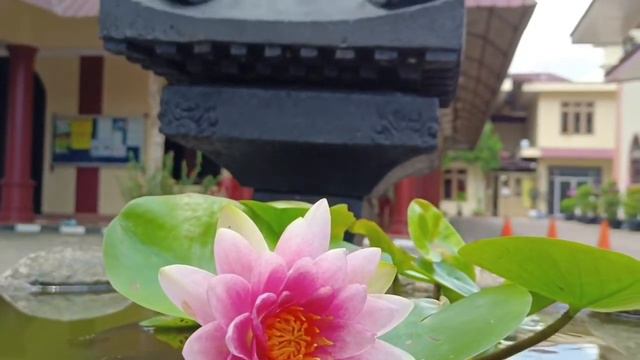 717776c8fff1def3a911de03a06b0c98