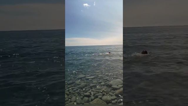 E266817608e9b61265bde22a122cb7c1