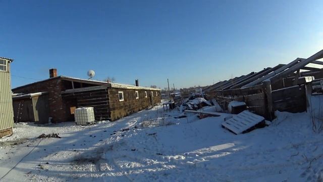 Бойня для свиней/Где построить бойню