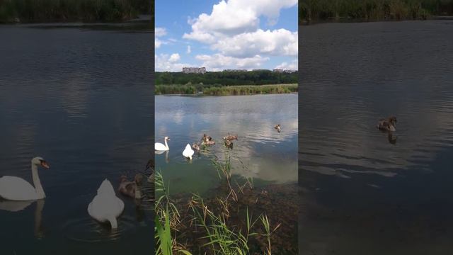 95db3bee4a858996fe12d259497ce176