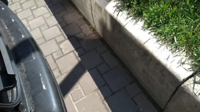 Peugeot: спортивный дух и мощь на дорогах