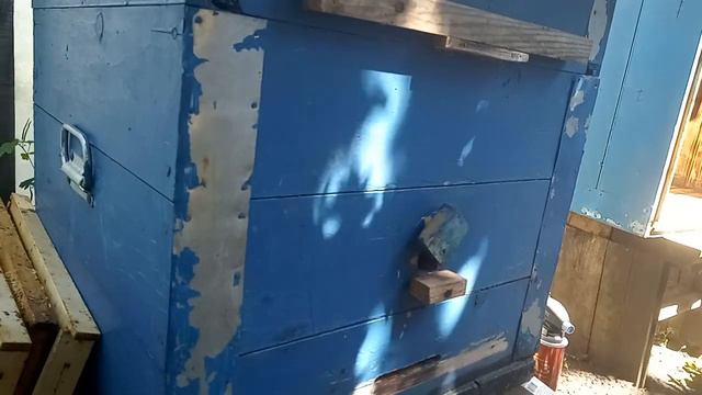 Работы на пасеке 18.06.2023 Самара