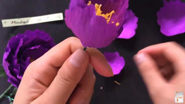 D3be7310c0d7538c0866149d6929b3f2