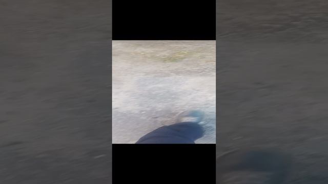 кассета 2000 года