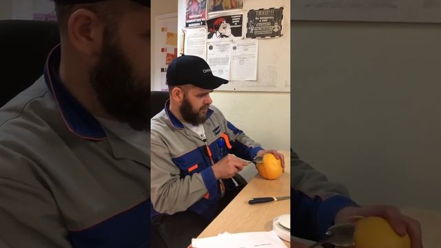 Мастерство и Жизненная Гармония