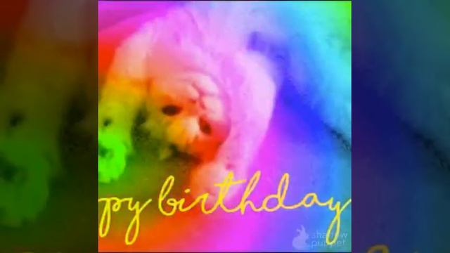 23 апреля 2017 г.