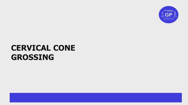 Cervical Cone Grossing