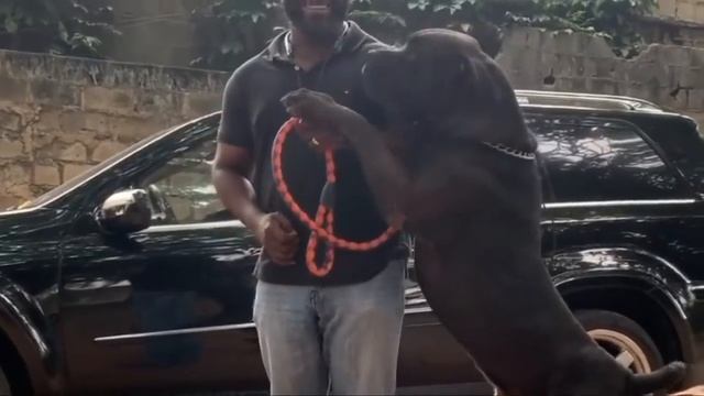 ОБЗОР ЖИЗНИ