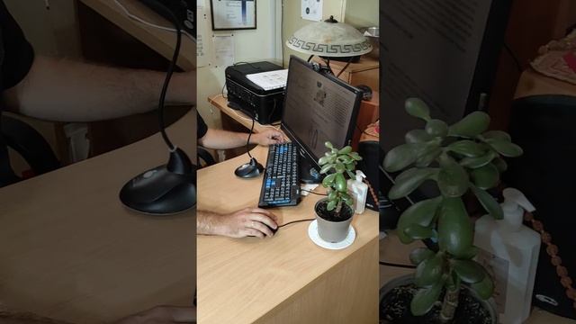 Методы объективизации воздействия в традиционной тибетской медицине Sowa Rigpa