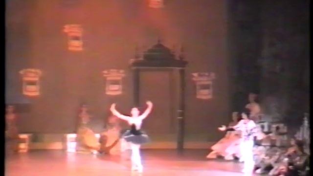 Лебединое озеро Япония 23 09 1989