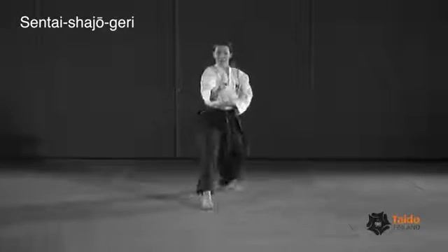 Taido Techniques