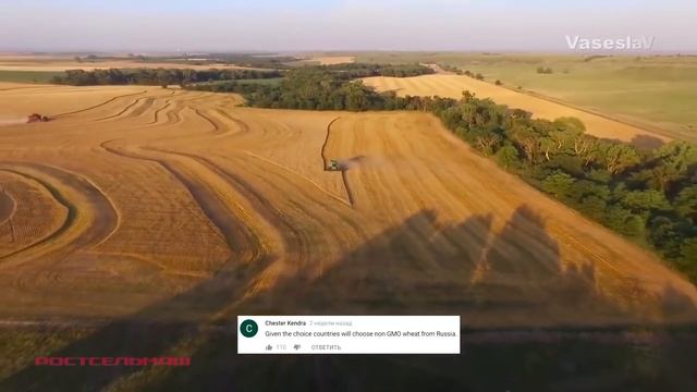 РОССИЯ МИРОВОЙ ЛИДЕР ПО ЭКСПОРТУ ПШЕНИЦЫ - Комментарии иностранцев