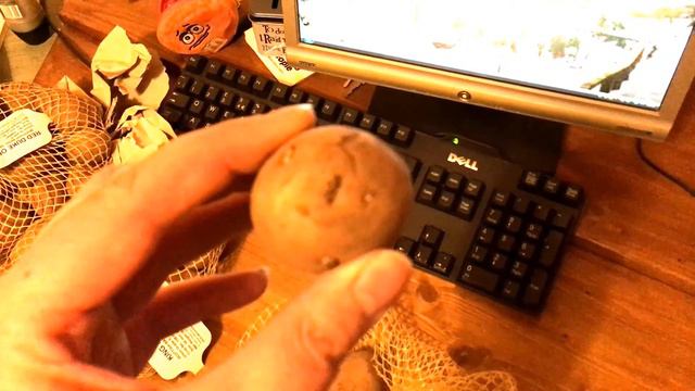 Pete's Garden 2017 #4 Chitting Potatoes, Planting Flowers