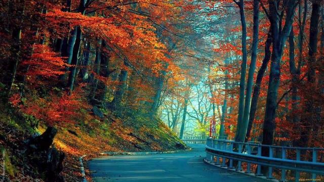 Красивая Расслабляющая мелодия Гитара Фоновая музыка для отдыха Музыка для души Нежный Релакс и Сон