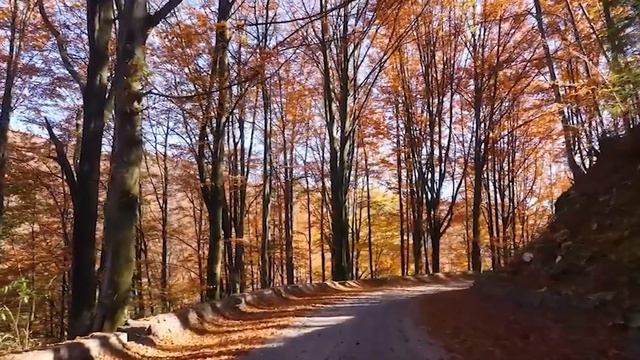 Нежная лечебная музыка здоровья и для успокоения нервной системы, глубокого релакса