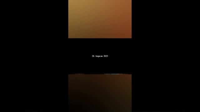 Алексей Ваулин «Живая материя» Мраморный дворец,  Русский музей. 26 апреля 2023