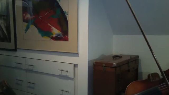 Stradivarius Copy-Czechslovakia