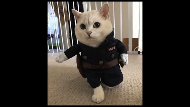 Мафик X Маракеш — давай не будем