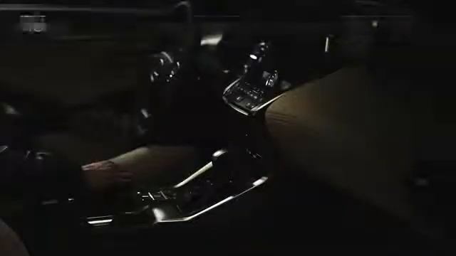 Lexus NX Functional Items
